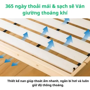 365 Ngày Thoải Mái & Sạch Sẽ – Ván Giường Thoáng Khí Vượt Trội Result