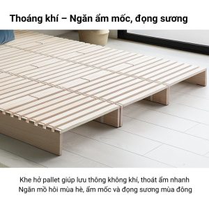 Giường pallet gỗ thoáng khí, khe hở lưu thông không khí, ngăn ẩm mốc và đọng sương.