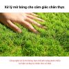 Thảm cỏ nhân tạo mật độ cao, chống tia UV bền màu