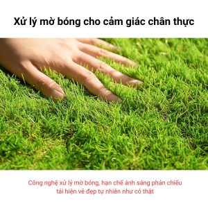 Thảm cỏ nhân tạo mật độ cao, chống tia UV bền màu