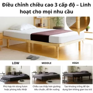 Điều Chỉnh Chiều Cao 3 Cấp độ – Linh Hoạt Cho Mọi Nhu Cầu Result