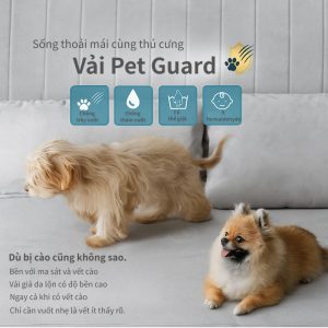 Nội Dung đoạn Văn Bản Của Bạn