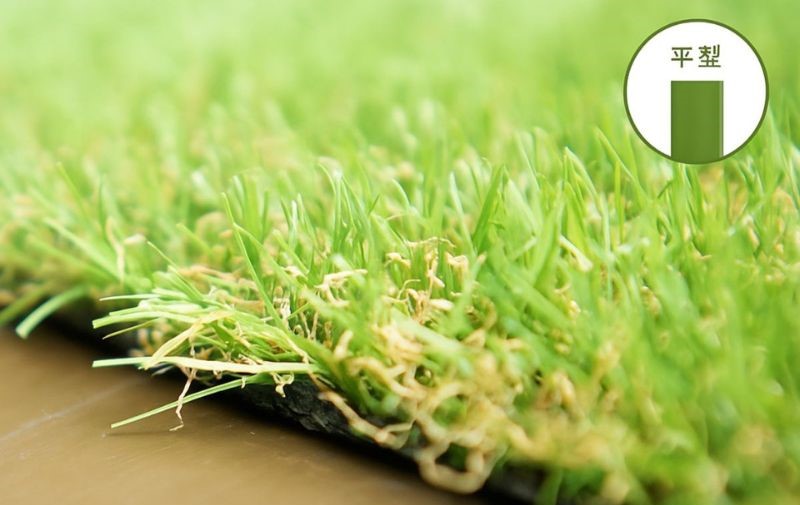 Thiết Kế Chưa Có Tên 1
