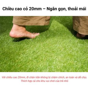 Cỏ nhân tạo Modern-Deco cao 20mm xanh tự nhiên ngoài trời