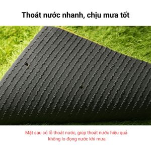 Thảm cỏ nhân tạo mật độ cao, chống tia UV bền màu