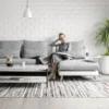 Bộ Sofa 3P + Chaise Vải Kháng Thú Cưng – Compact/Regular/Large